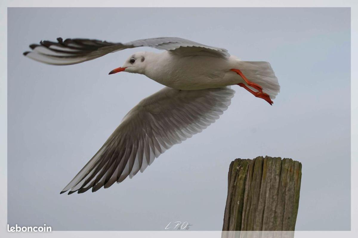 Lillstugan Proche De La Baie De Somme * Quesnoy-le-Montant